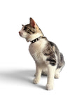 HNF Pet Collar